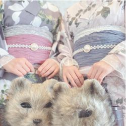 京都着物レンタル 奈々屋サンプル02